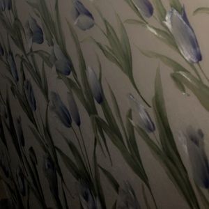 Meet your Posher, Francina